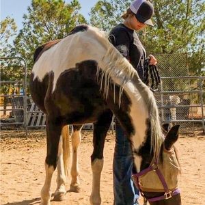 Meet your Posher, Whitney